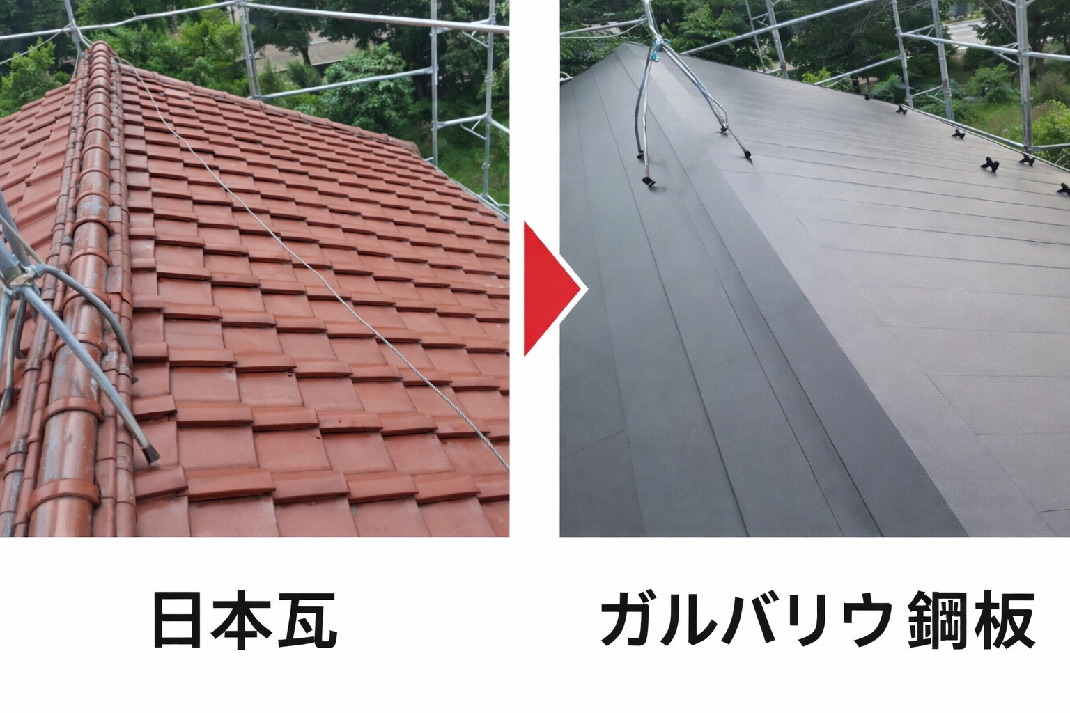 5. お客様の声